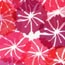 Janes fabrics003a.jpg (9684 bytes)